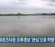 화명 레포츠타운 조류경보 ‘관심’으로 하향