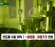 영업일도 적었는데…미용기기 수출 240% 급증 [장 안의 화제]