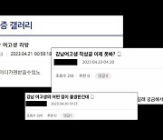 미성년 성범죄 발생 ‘우울증갤러리’ 2주 뒤 폐쇄 여부 결정 난다