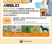 충청북도 "맹견 키우려면 다음달 26일까지 허가받아야"