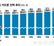 대출 조이자 불어난 카드론…잔액 41.8조 '역대 최고'