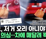 [씬속뉴스] 고속도로서 오리 매달고 광폭질주?!…"학대" VS "오리고기 먹으면서 뭘"