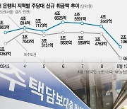 신규 주담대 수도권 비중 70%···대출규제, 비수도권 더 때렸다