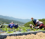 화천군, 내년 외국인 계절근로자 농가당 최대 14명 배정