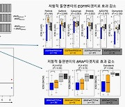 가톨릭중앙의료원, 암 돌연변이 간 상호작용 기전 규명