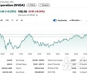 증권사 "AI 전용칩 수요 여전히 강력" 엔비디아 0.22%↑