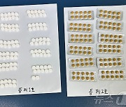 "의류점에서 마약을?" 대림동 일대서 중국산 불법의약품 판매 적발