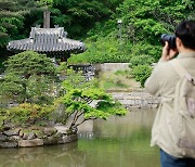 창덕궁 후원에 90㎏ 멧돼지 출몰…발견 이틀 만에 '사살'