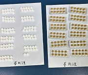 北서 진통제로 쓰이는 마약, 서울에서 판매한 중국인… 주민 제보로 덜미