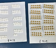 '대림동 옷가게에서 마약이?'…'정통편' 등 판매한 中여성 검거