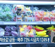 폭염에 채솟값 급등…배추 73%·시금치 124%↑