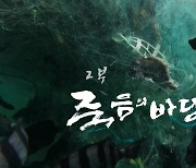 [시사기획 창] 죽음의 바당 2부 ‘덫’