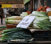 2만원 배추, 1만원 시금치…한달 새 각각 73%·124% ‘급등’