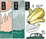 [서상균 그림창] 폭염…폭우…폭등