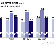 8월 차보험 손해율 84.2% 껑충…보험료 인하·전기차 화재 영향