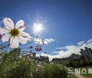 광주·전남 선선한 출근길, 낮 29도까지…일교차 10도 이상