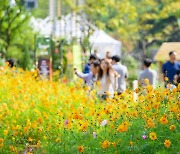 '꽃·예술·야경' 고양시, 9~10월 풍성한 가을축제 개최