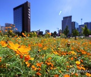 [내일날씨] 아침엔 쌀쌀…일교차 커 건강 유의해야