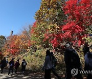 "양구에서 금강산 가던 옛길, 가을에 취해 걸어 보세요"