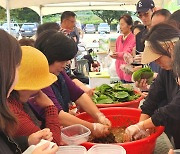 [옥천소식] 28일 군서초등교서 깻잎축제