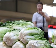 기록적 폭염에 급등한 배추 가격