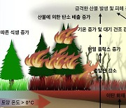 지구온난화 가속화에..."북극 산불 피해 늘어날 것"