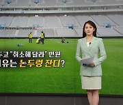 '논두렁 잔디 논란' 상암경기장, 82억 벌고 잔디 관리 투자는 3% [앵커리포트]