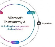 고객 마음잡기 나선 마이크로소프트…"AI 환각 현상 없앤다"