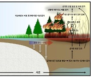 온난화가 부추기는 북극지역 산불…영구동토층 해빙으로 더 심해진다