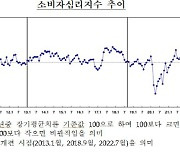 집값 오를라 지갑 닫은 국민들… 주택가격전망 4개월째 상승