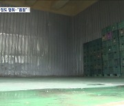 배추 품귀에 텅 빈 창고‥김치공장들도 '막막'