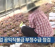 농업 공익직불금 부정수급 점검