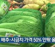 배추·시금치 가격 50% 안팎 올라