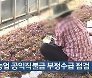 농업 공익직불금 부정수급 점검