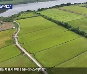 직불금 불법 수령, 친환경 농업도 타격…“인증 취소하라고”