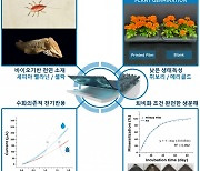 오징어 먹물로 만드는 '친환경 TV'…폐기시 독성 없이 완벽 생분해