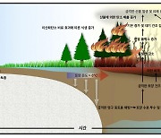 “지구온난화 최악 시나리오 나왔다” 얼음 다 녹고…북극 산불 심각