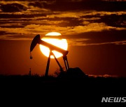 OPEC "세계 석유 수요, 향후 20년 간 증가"