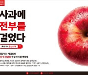 "AI가 픽한 사과에 전부를 걸었다" 롯데마트, 90억 투자한 '올인사과' 입소문