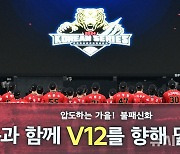 KIA 타이거즈, 한국시리즈 엠블럼 공개