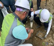 환실련, 관할구청 늑장 행정으로 인한 건설 현장 오염 의심 토양 외부 반출 초래 의견