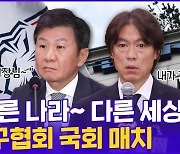 [현장의재구성] "다른 나라~ 다른 세상~" 국회 나온 축구협회 '말말말'