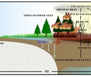 지구온난화로 북극 산불 심해진다···탄소 배출 악순환 우려