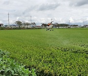 익산시, 벼멸구 확산방지 긴급 방제…㏊당 20만원 방제비 지원