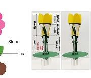 모세관 현상 이용 중금속 감지하는 '식물 모방 소프트로봇' 개발