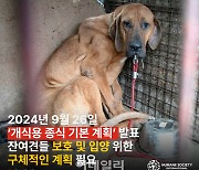 '개식용 종식'…한국HSI “전폐업 지원 ‘마릿수’ 기준, 개 번식 유도 우려”