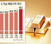 돌반지 한돈에 50만원 돌파…美 '빅컷'후 금값 랠리