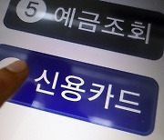 카드론 막히고 수수료도 인하?…하반기 전망에 카드사 '울상'