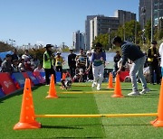 성동구, 제2회 반려동물 축제 ‘성동에서 놀다가개’ 개최