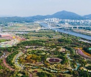 내달 2~13일 수도권매립지 야생화단지서 '드림파크 국화축제'